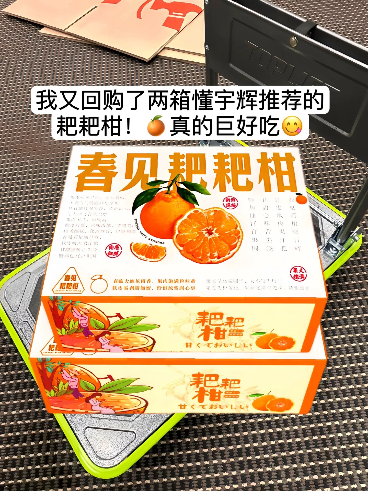 懂宇辉推荐的爆甜多汁的春见耙耙柑～个大饱满圆润，果肉晶莹剔透，颗颗爆汁...