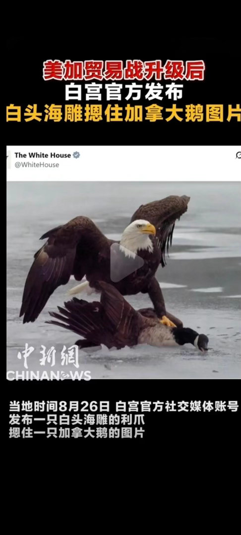 这是什么意思呢[思考] ​​​