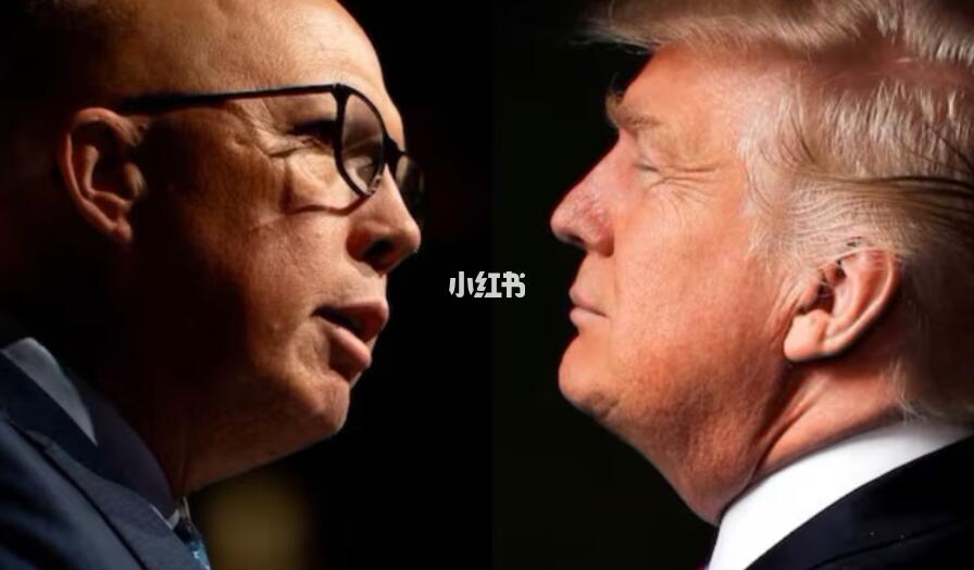 他败选，都是特朗普害的