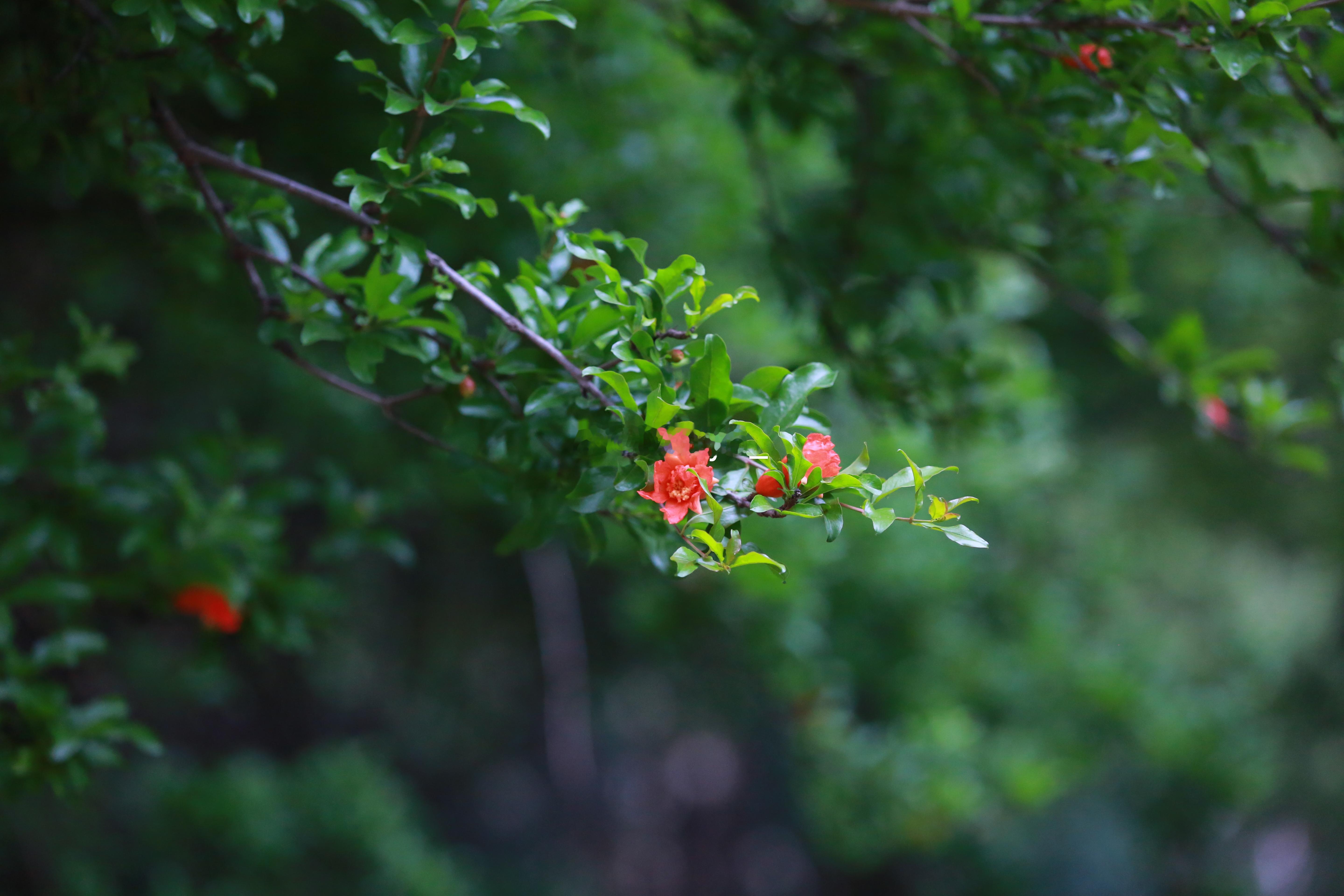 常州[超话]随手拍📸记录春日的气息🌿🌷 ​​​