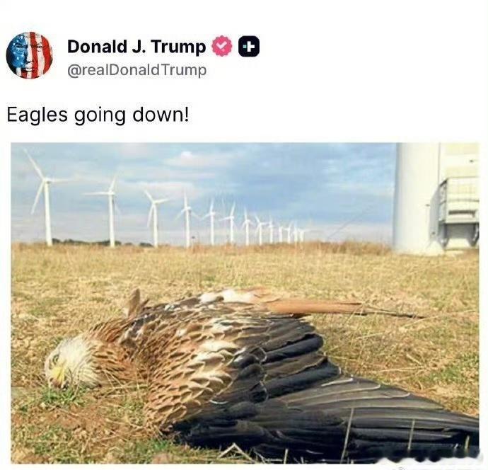 英法德意等欧洲七国领导人联合声明美国执意以单边思维推进北极战略，陷入“失道寡助”