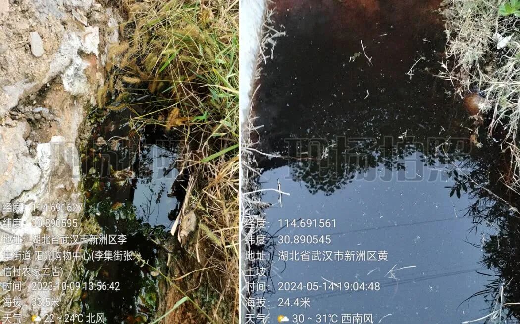 湖北一村62人先后罹患癌症和白血病，村民怀疑与村里工厂有关，称连续4年举报工厂却仍“偷偷生产”，区生