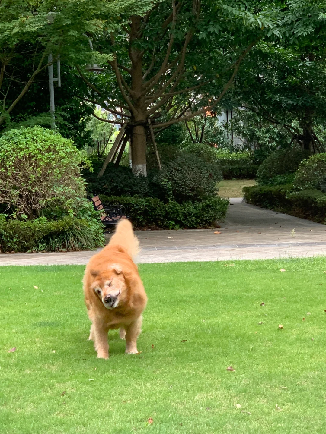 今日份早锻炼完成✔🤸🐾🌿