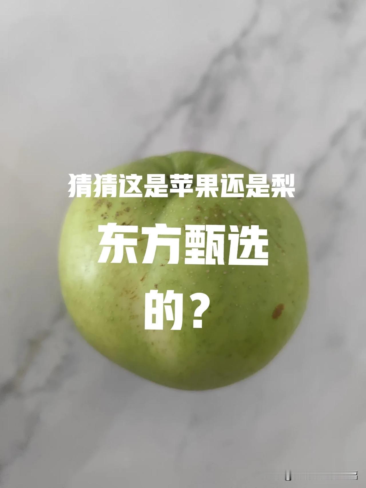 这就是我在东方甄选买的梨[害羞]

可能我没有见过世面，这是我见过的最大的梨。和