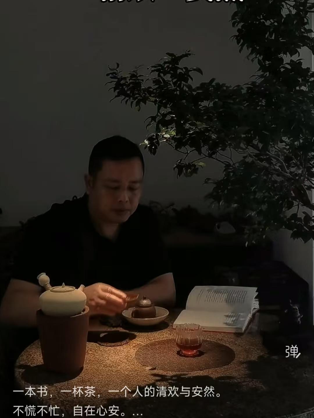 塞鸿秋·书茶闲趣
书香盈案闲拈趣，
茶烟袅袅轻飘绪。
独居斗室心无惧，
远离尘扰