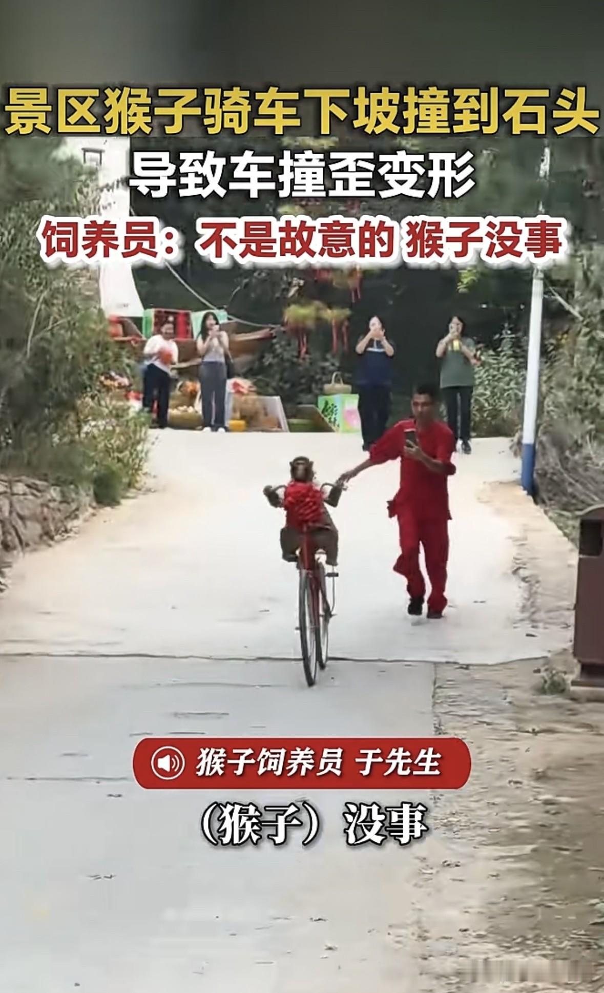 好险，猴哥差一点就被送去西天取经了[捂脸]
9月20日，山东济南一景区内，一只猴