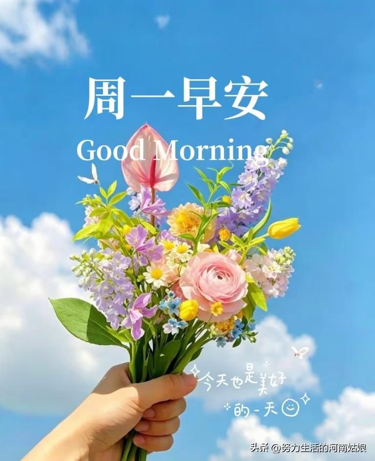 🍂周一早安！秋风微凉，开启崭新一周。放下上周的疲惫与琐碎，调整心态重新出发。不