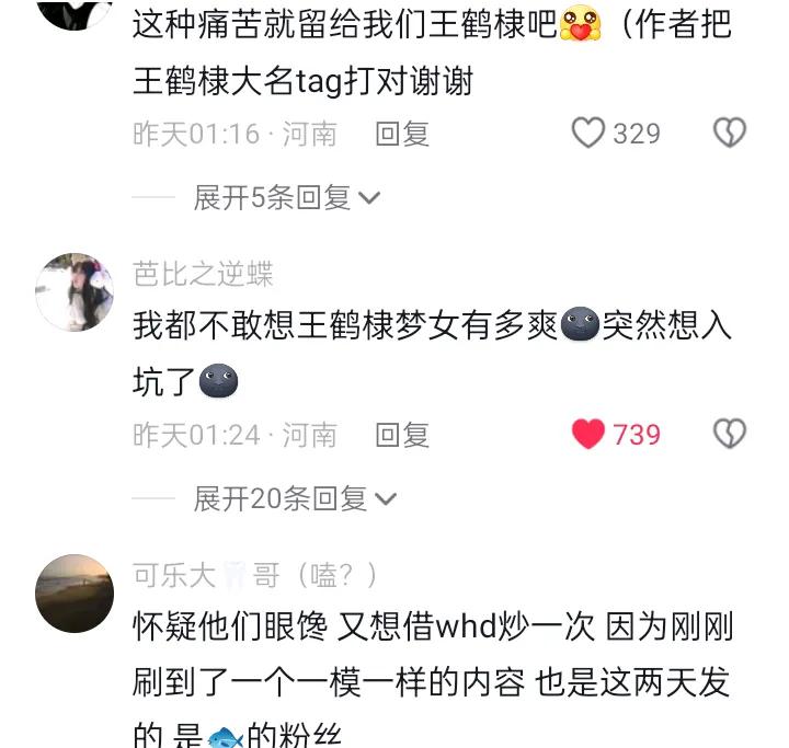 这几天突然冒出来好多关于“王鹤棣失去了所有cp”的辣菜通稿，还以为又要亲眼目睹一