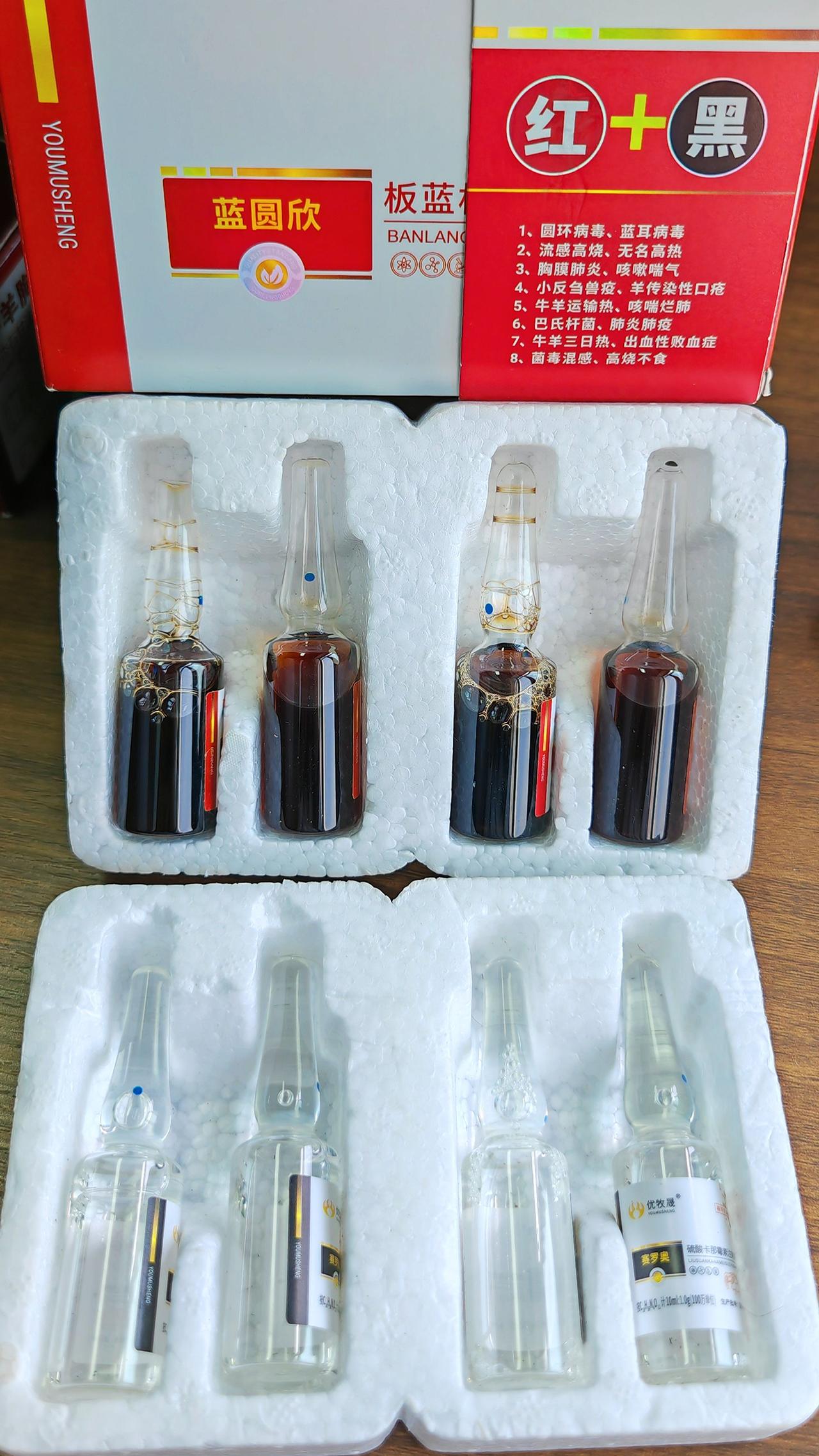 养羊人 农村养羊 牛羊养殖