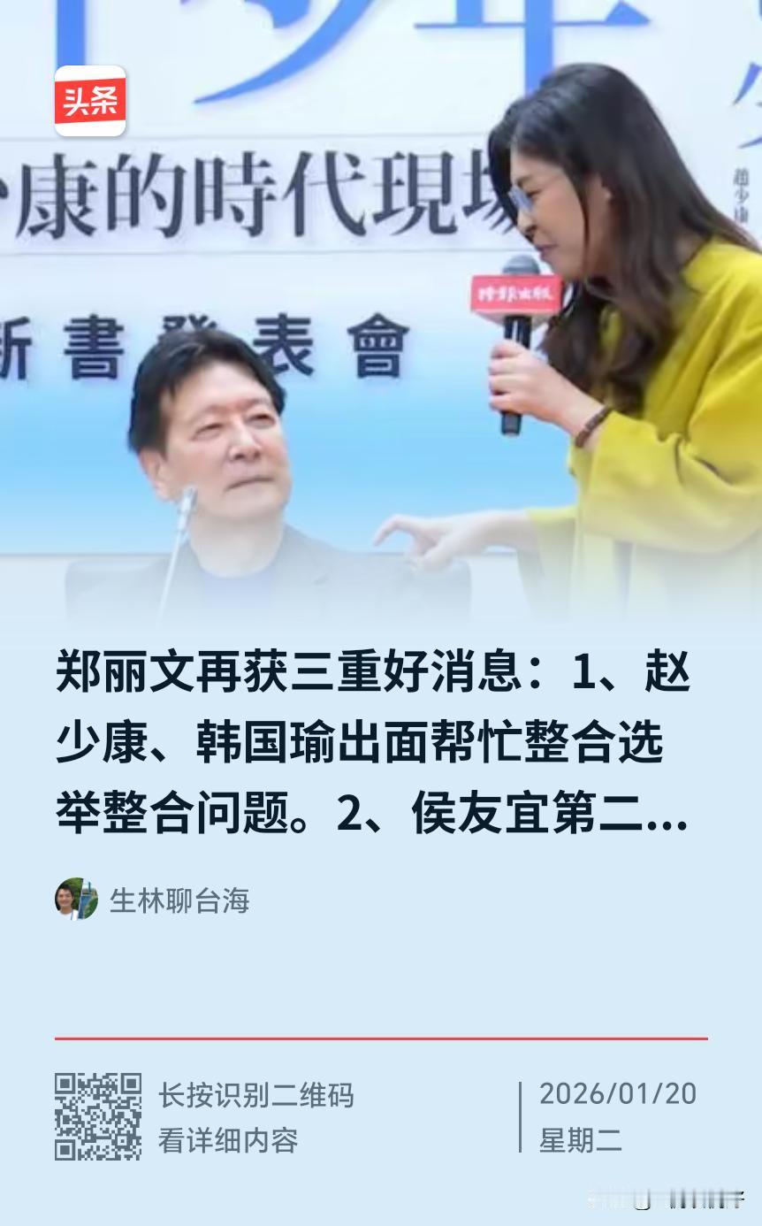 郑丽文正走在正确的处理内外关系的道路上！
在处理中美大两岸及台海小两岸关系上，在