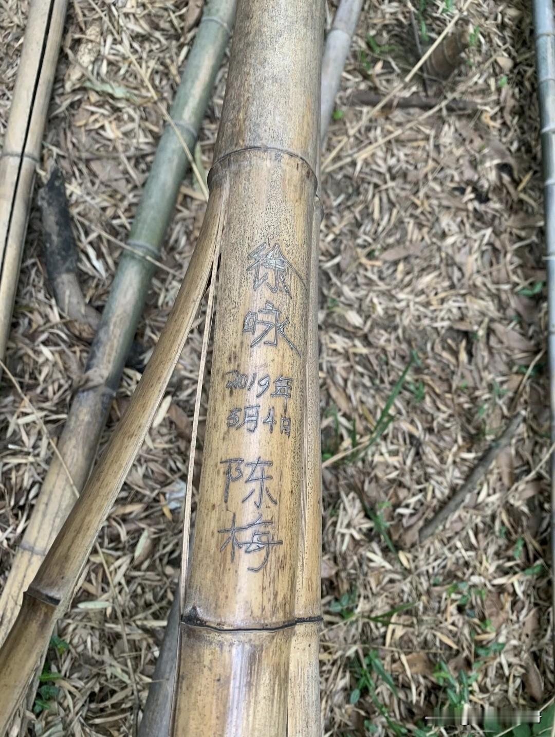 徐咏陈梅你们现在还在一起吗？