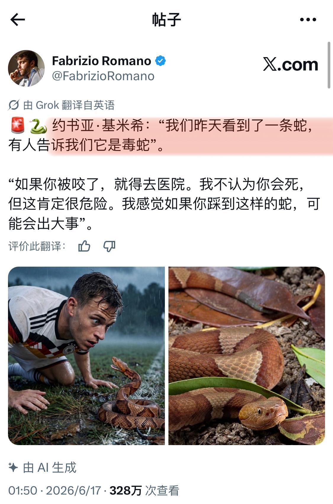 这真的是每天都有离奇事。。。非正经观战世界杯
