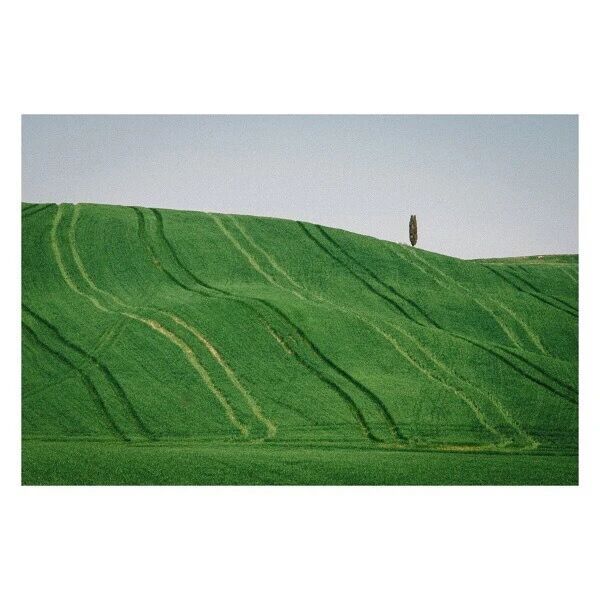 世界在忙，我在静。｜Alessandro Calvi  