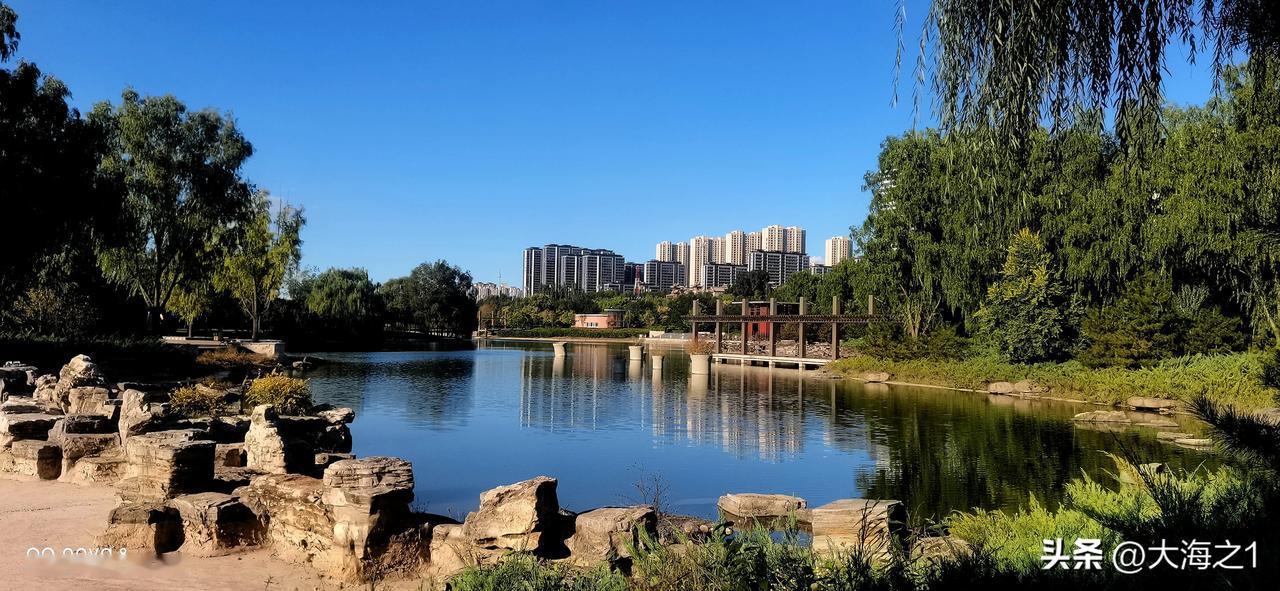 秋高气爽的一天（原创）
大同市平城区御河东岸生态园随手拍
#大同风景美如画# #