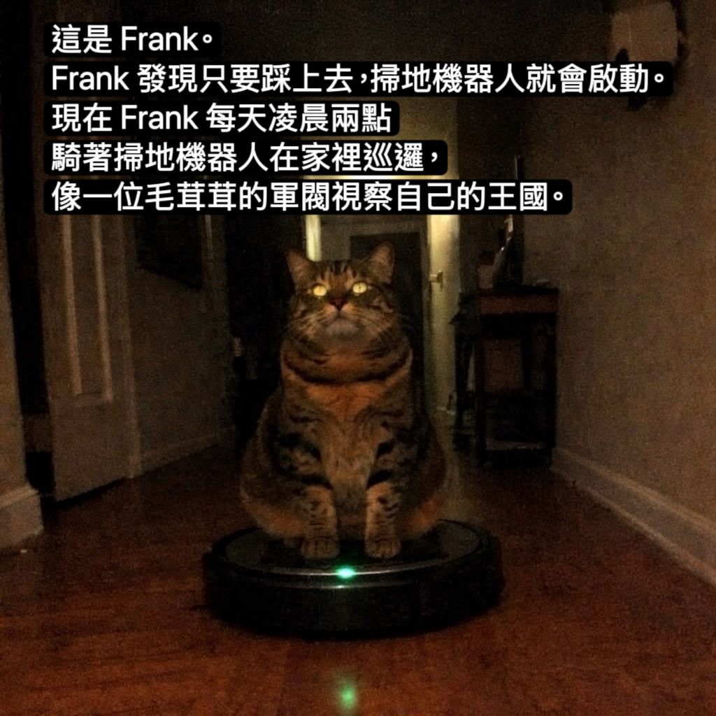 暗夜领主🐈⬛meme