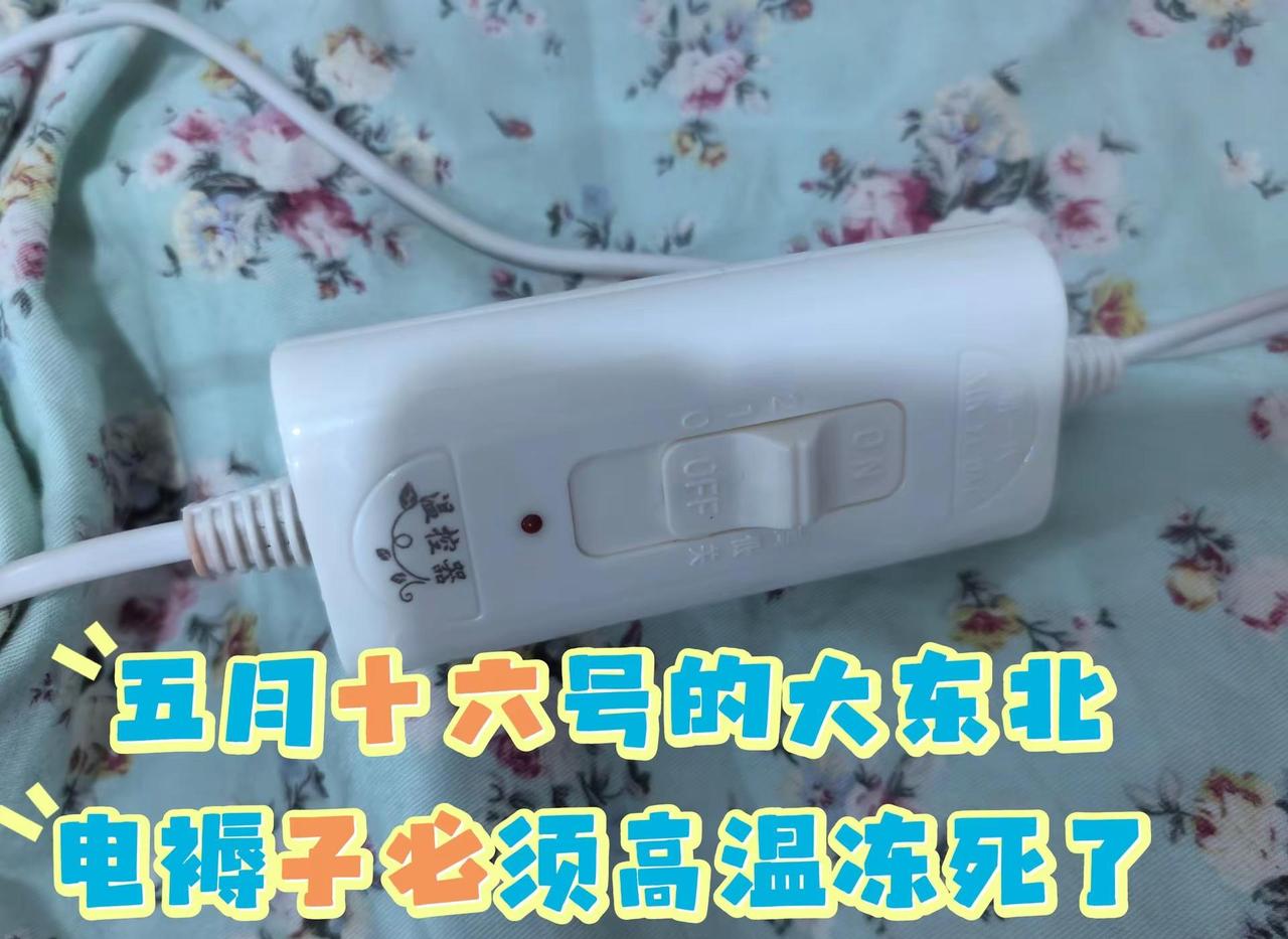 五月中旬了，差点冻死在东北，电褥子高温还得盖被，不是立夏了吗？我们东北的夏天丢了