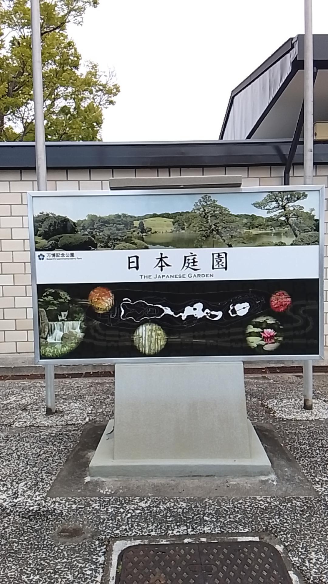 万博纪念公园的花