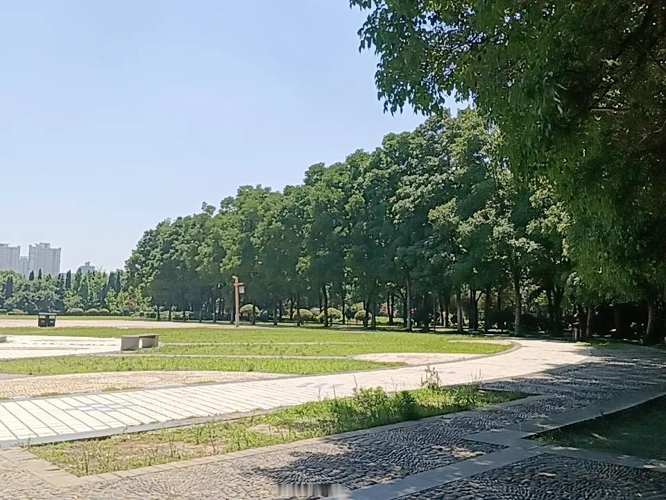 强烈反对美加征12.5%额外关税，它加征的理由更荒谬：用强迫劳动生产商品。
在此