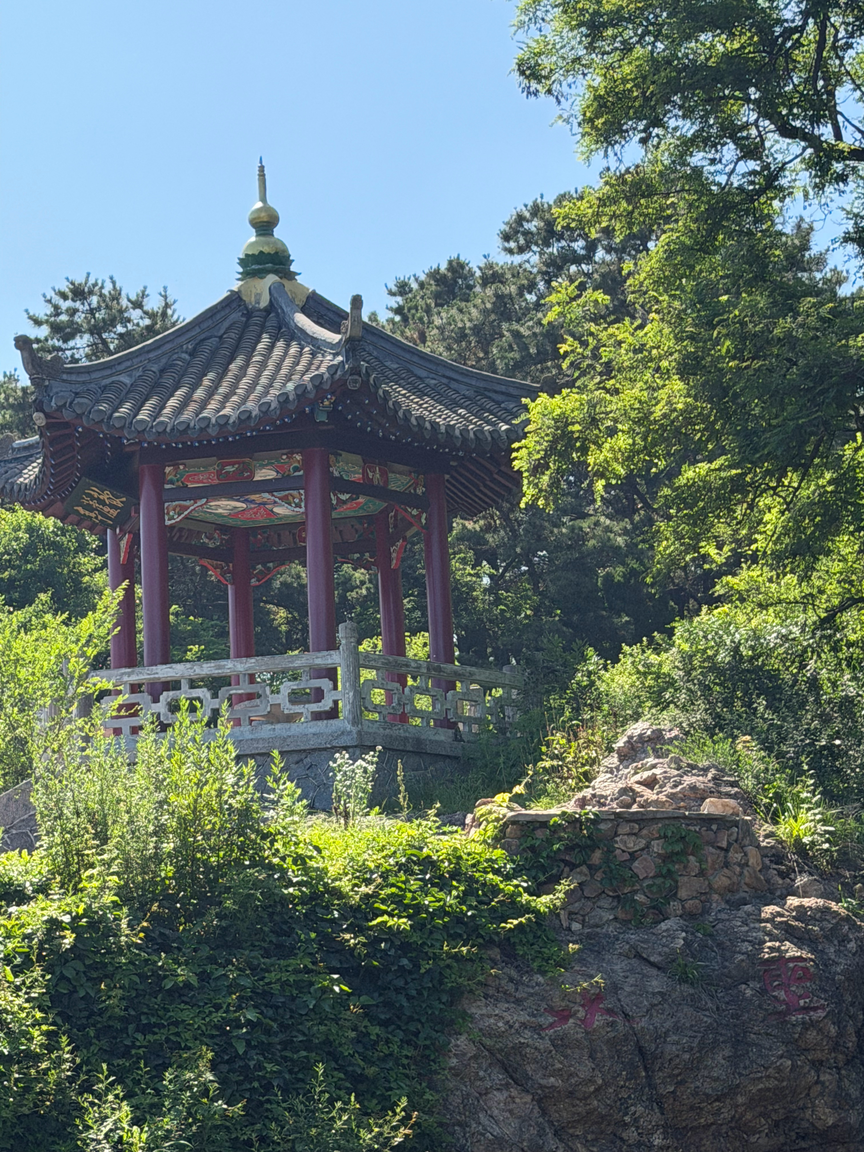 跟着综艺大明星去旅行周末群聊里最难的不是没人想出门，而是十个人有十种意见。那就学