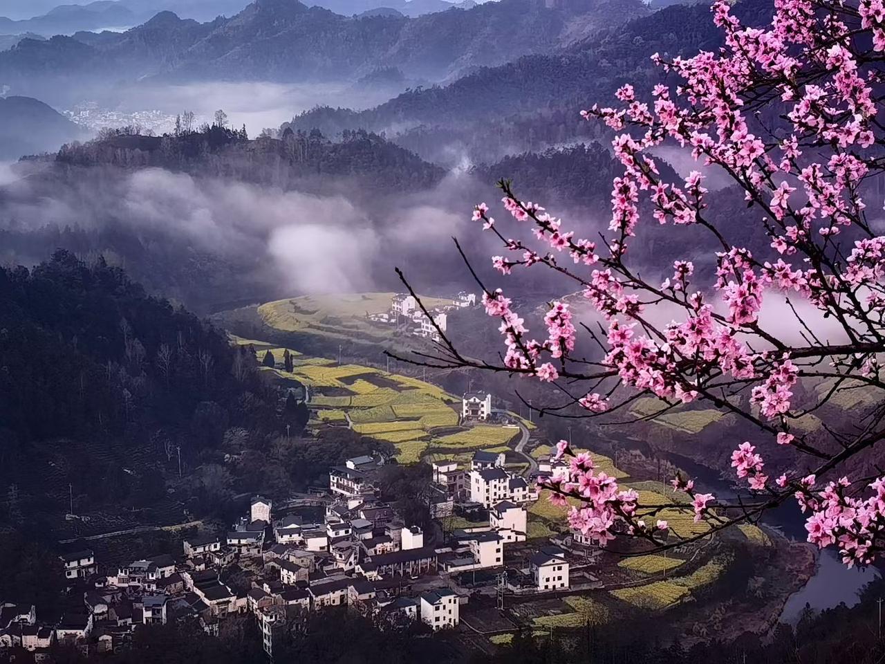分享你随手所拍的风景春山含雾，桃花缀枝，烟火人家藏在万亩金黄里，这便是人间最治愈