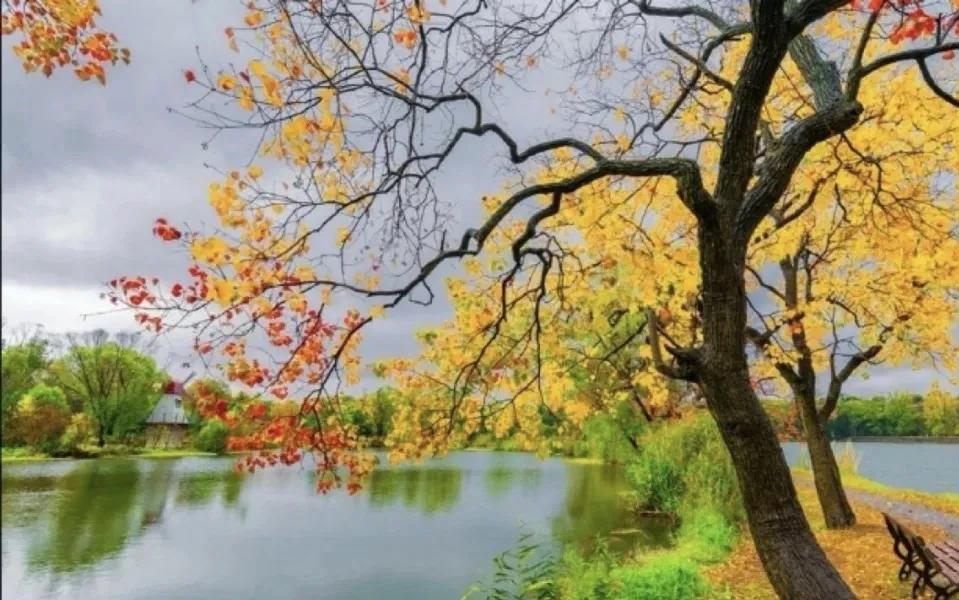


重阳节是一年中天气最好，最飘逸的日子，此时秋阳灿烂柔和，凉风习习，甚是清