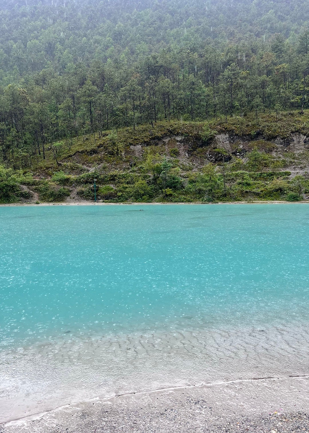 大雾大雨🏔️  ​​​