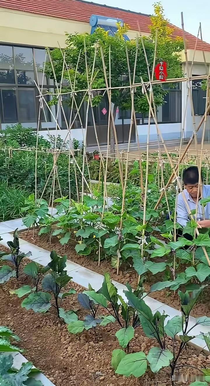 这才是日子该有的样子！一个干干净净的农家小院，被主人收拾得井井有条，看着就让人心