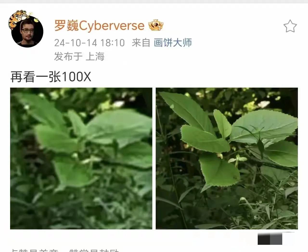 罗巍摄影界的大牛到来，让荣耀的影像焕发新生啊。今天他在某社交平台晒出荣耀某机型1