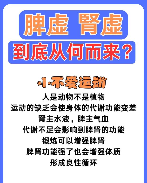 脾虚肾虚到底从何而来？高血脂竟是重要诱因