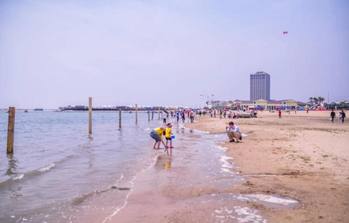 #秋日生活打卡# 【金山城市沙滩-4】沙滩踏浪：采集海鲜丰衣足食


编者的话：