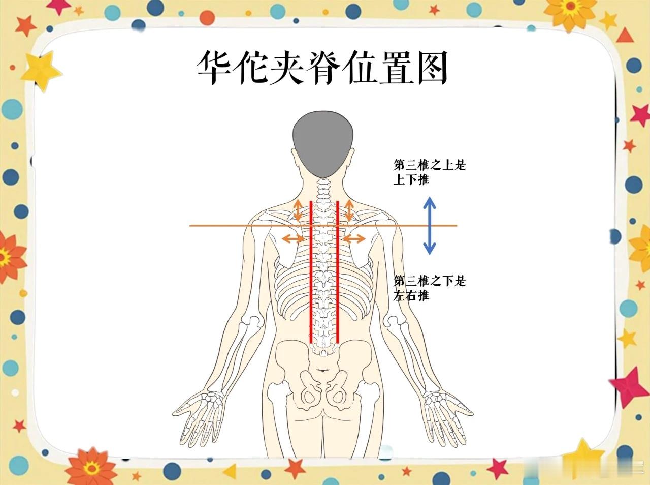 调理小儿疳积，华佗夹脊穴 华佗夹脊穴是调理小儿疳积（消化不良、营养不良）的特效穴