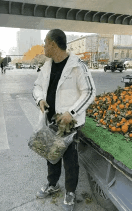 太搞笑了
卖橘子的摊主
把“自欺欺人”演绎到了极致

路边橘子摊位前冷冷清清
连