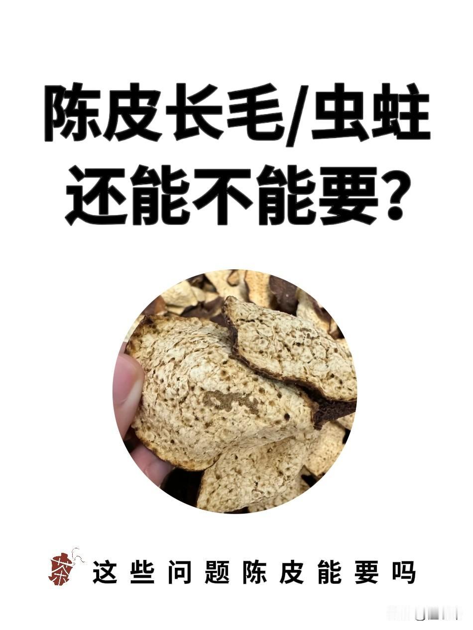 新会陈皮长毛、虫蛀，到底要不要扔掉？

很多茶友都爱囤新会陈皮，只要存放得当，年