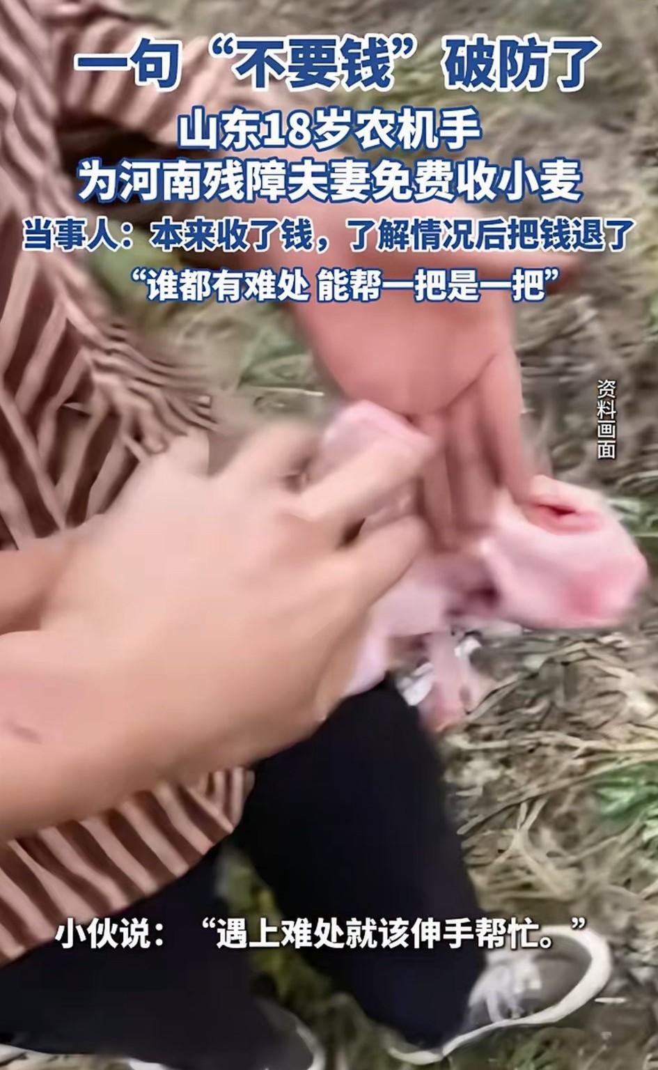 太感人了！河南南阳，一名来自山东的18岁农机手，在这里抢收一户人家的小麦，结束之