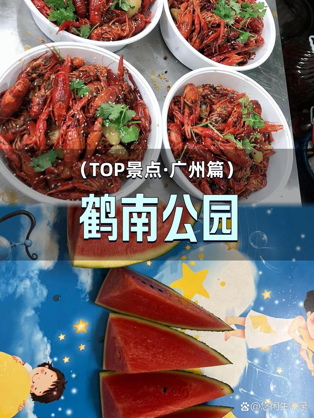 🌸城市绿肺·鹤南公园漫游指南

藏在闹市中的宝藏公园，本地人私藏的治愈系打卡地