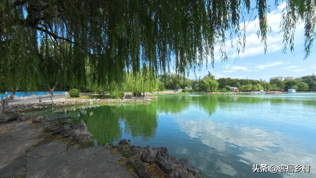 遇见爱情的可能性几乎为零，碰到想找个伴过日子的男人就嫁了吧，不要提任何条件，人正