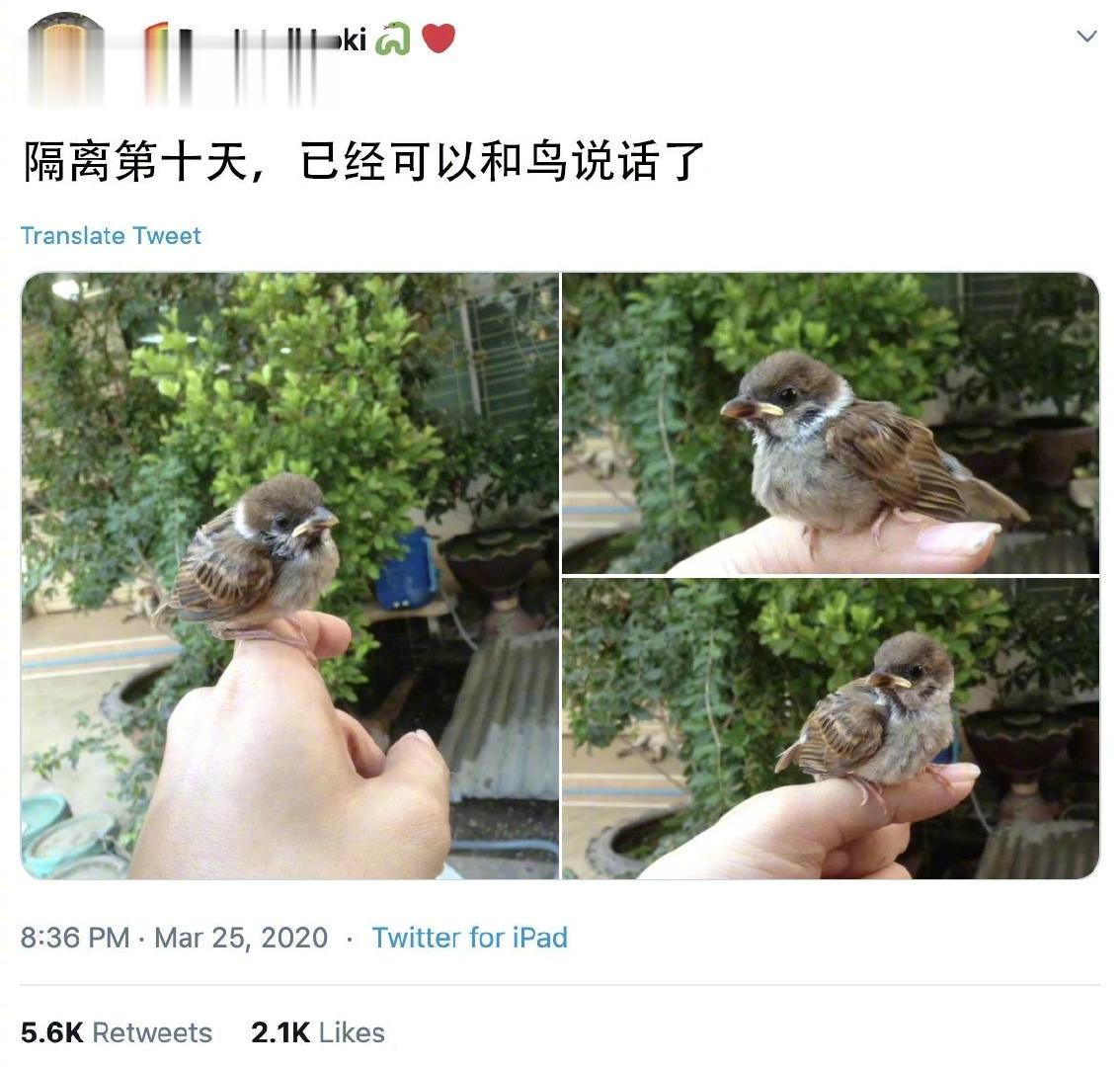 神奇的技能增加了[二哈]
