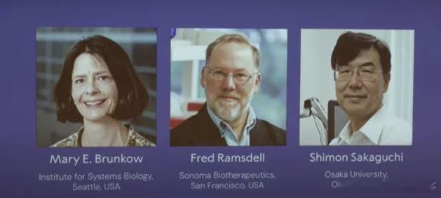 胖哥论坛[超话]【2025诺贝尔生理学或医学奖公布】诺贝尔生理学或医学奖揭晓 当