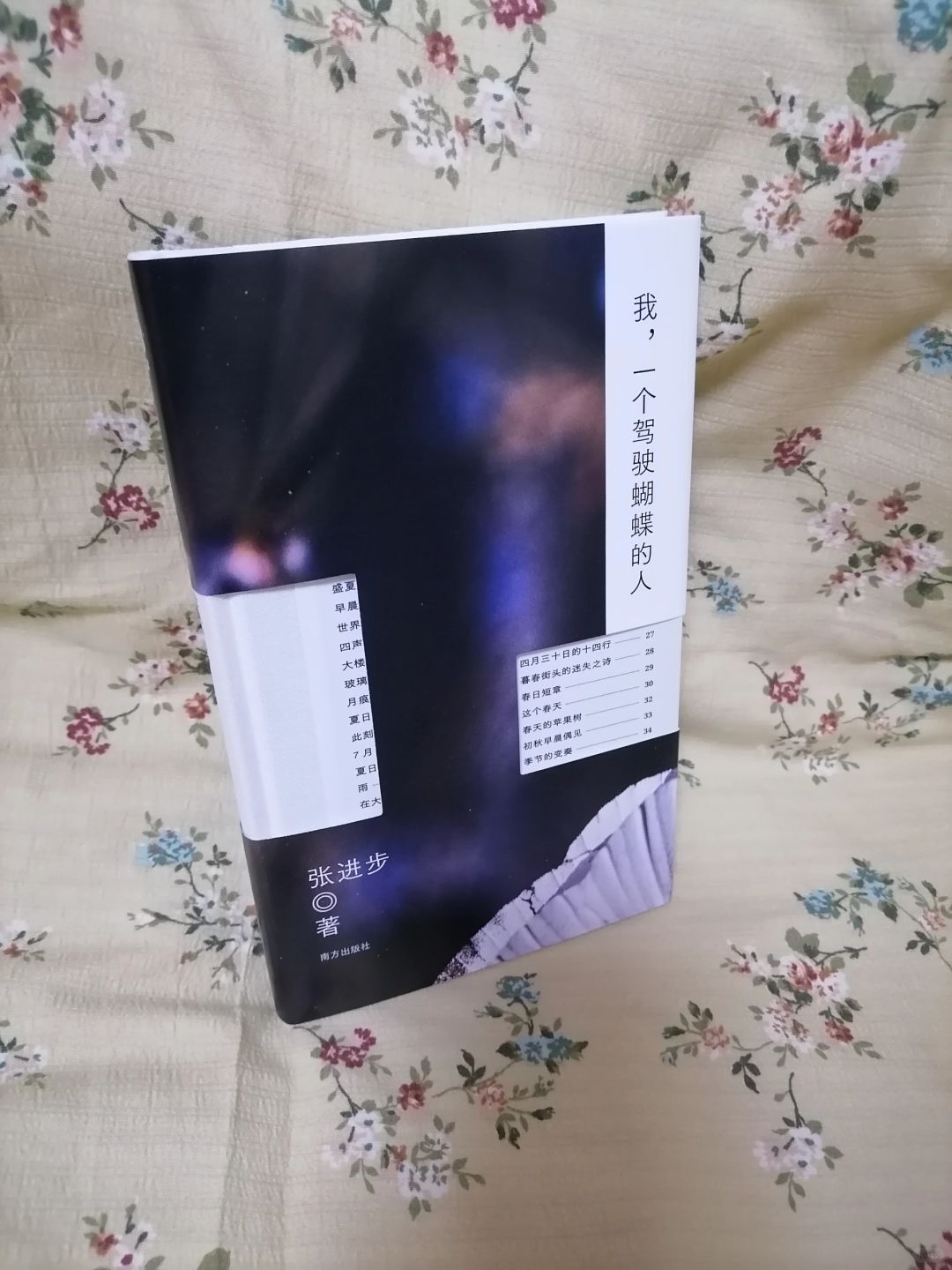 《我，一个驾驶蝴蝶的人》
	
作者：张进步
出版社：南方出版社
	
《我，一个驾...