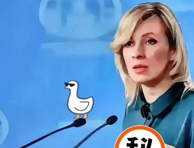 果然被说中了！俄罗斯媒体抛出一句硬话：若东方大国一味退让，跟风挑衅的势力只会越来