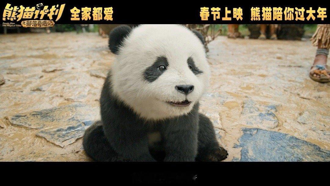 熊猫计划取景中国最后的原始部落藏于深山的原始部落鲜少人知，客流量稀缺，《熊猫计划