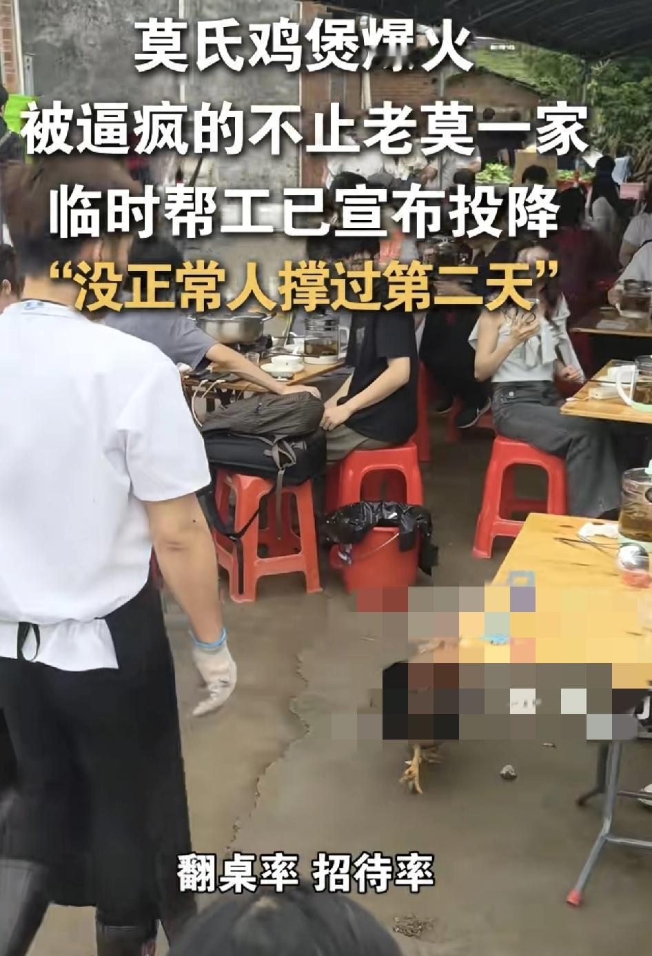 火爆全网的莫氏鸡煲，有临时帮工表示没有哪一个正常人能扛过第2天。本来自己是过来找