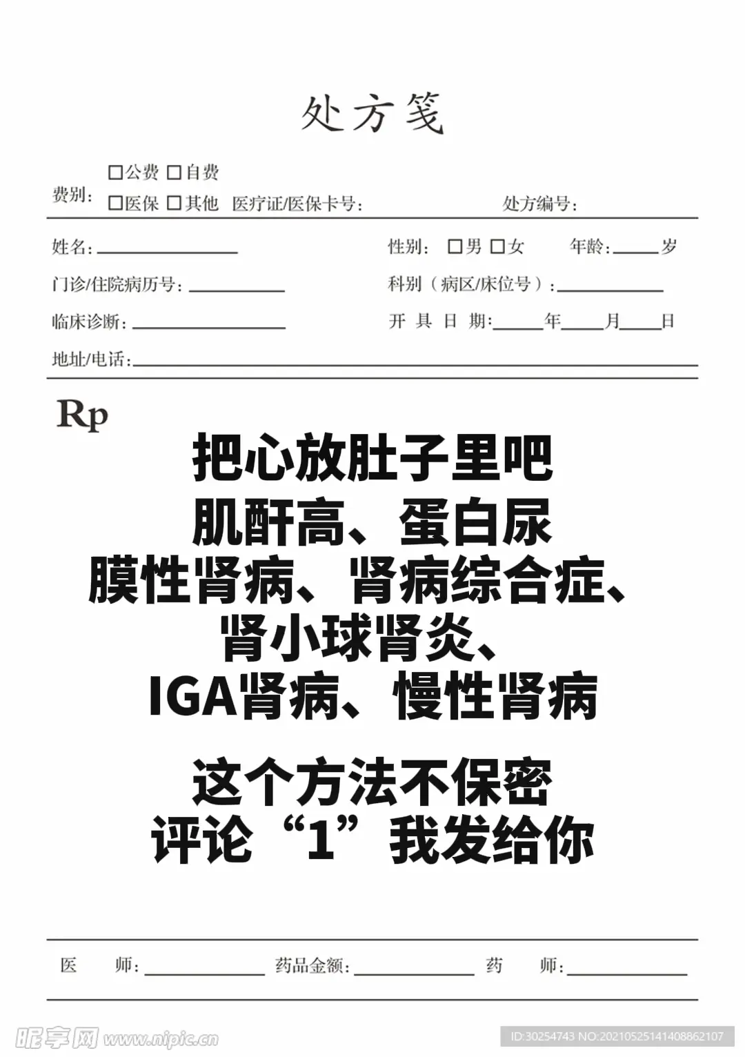 肾病 健康 科普