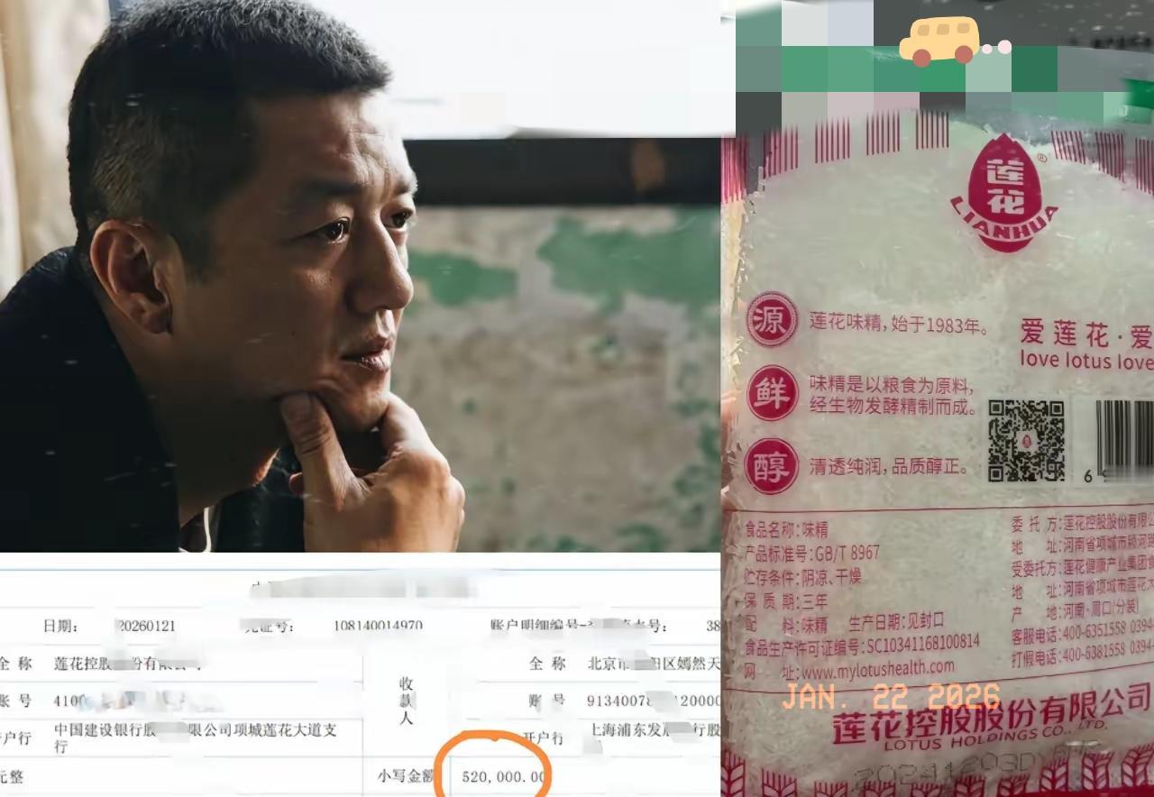 简直是功德无量，
不查不知道，查了一下才知道，
原来给嫣然儿童医院捐款52W的莲