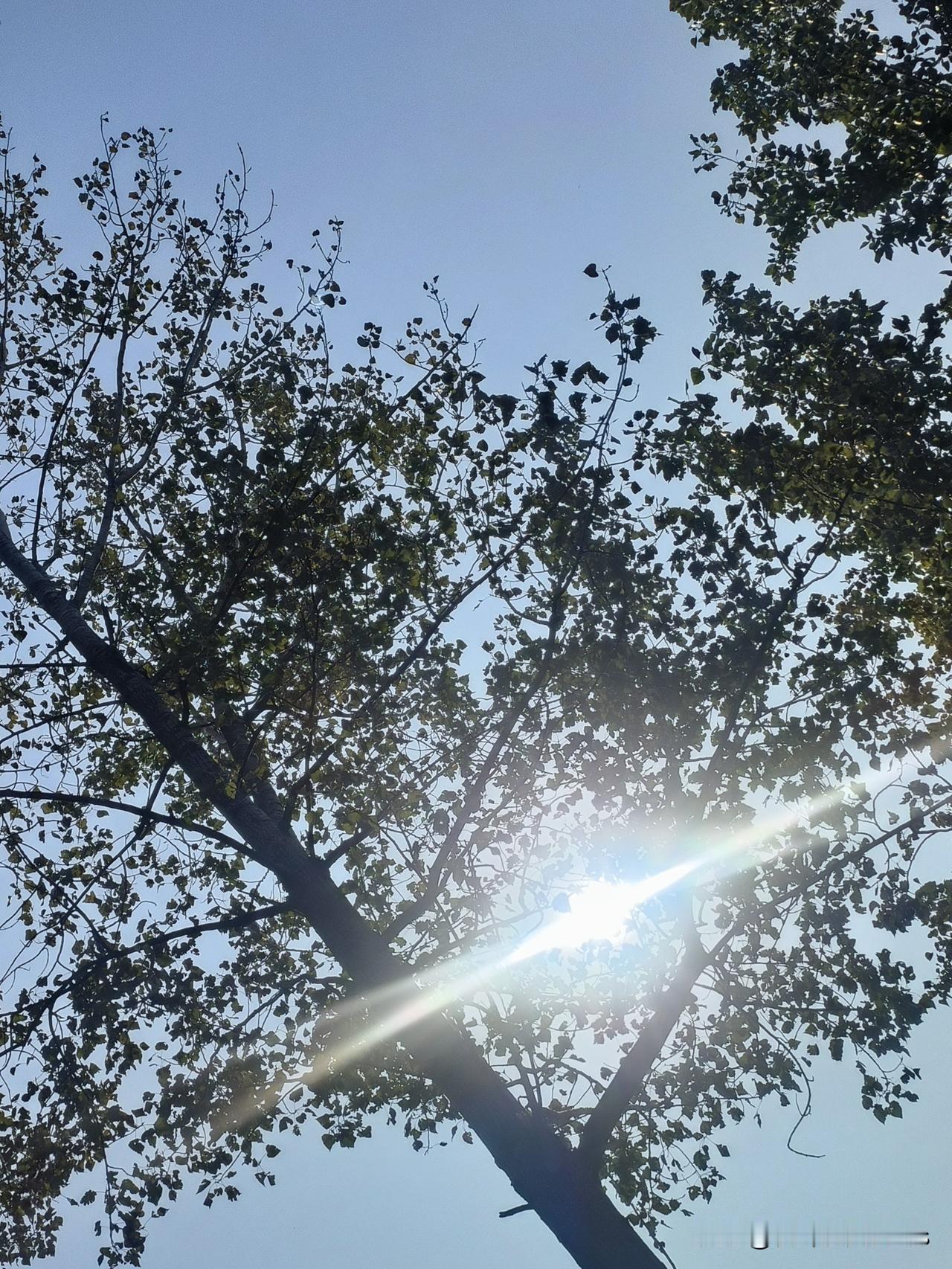 别光羡慕研究虫子的专家，哪碗饭都不容易


刚刚，在网上看到丽水发现新物种的新闻