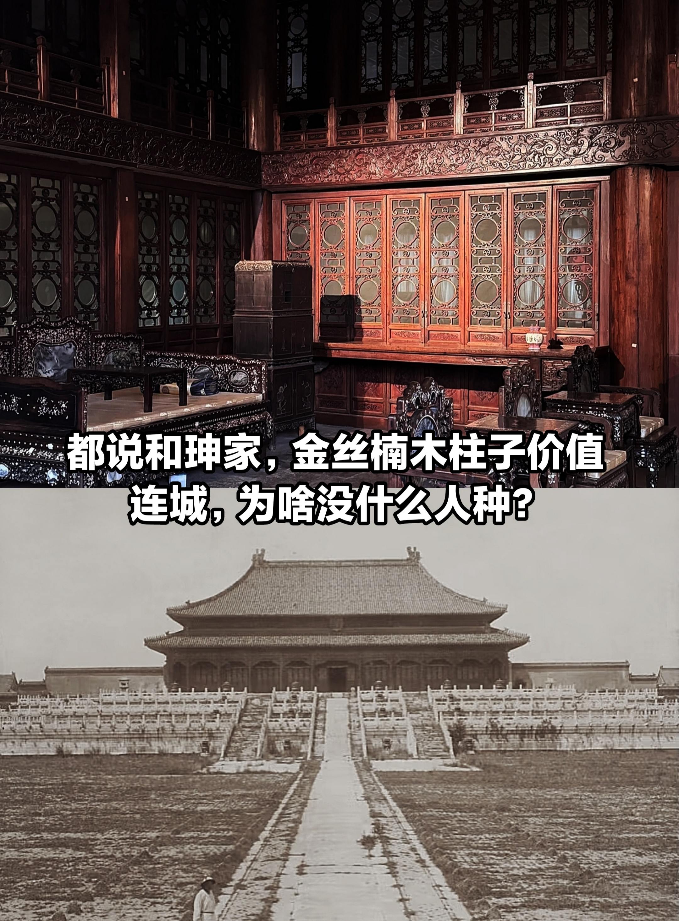 为啥没有多少人愿意种价值连城的金丝楠木？