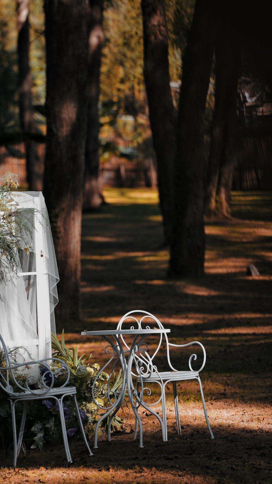 曾因恐惧而不敢爱、不敢闯，怕犯错，在最美好的年华里自卑。雷军的话点醒了我，他说：