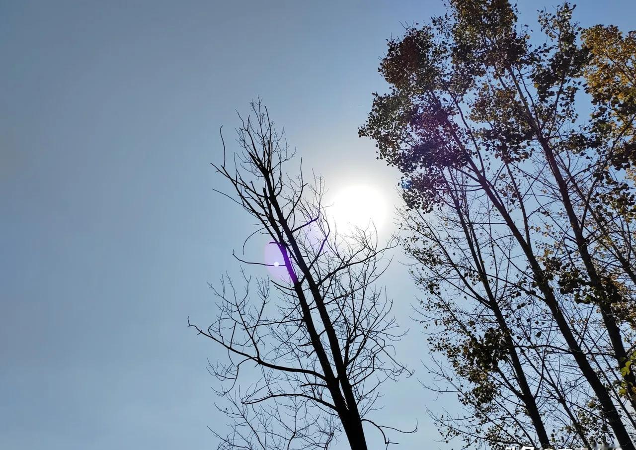 日本最怕啥？
答案其实特直白——就怕被打疼、打服，根本不是你有多

善良、多包容