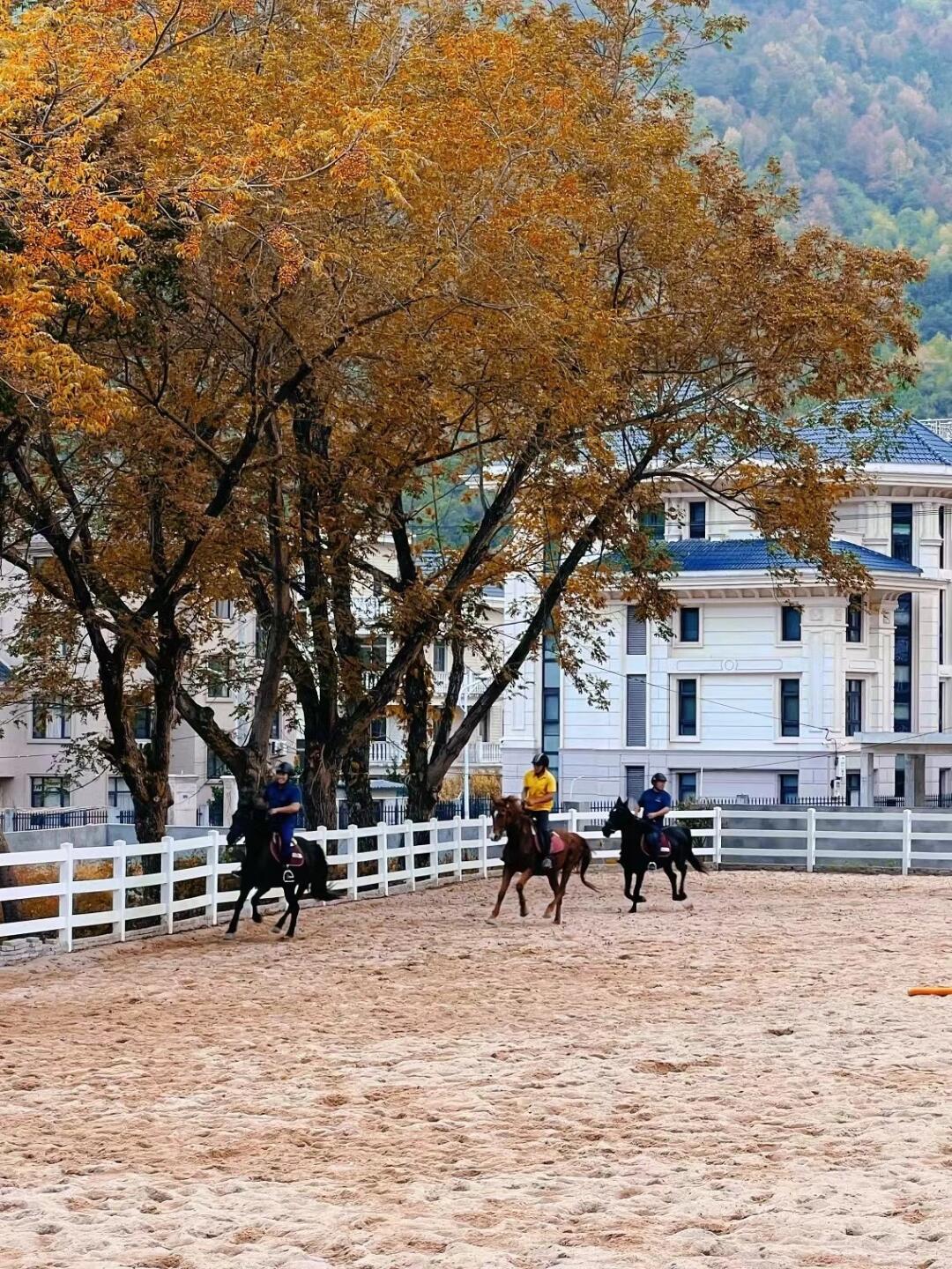 乐清驻扎｜👀多年带娃研究累积的18个地方❤️