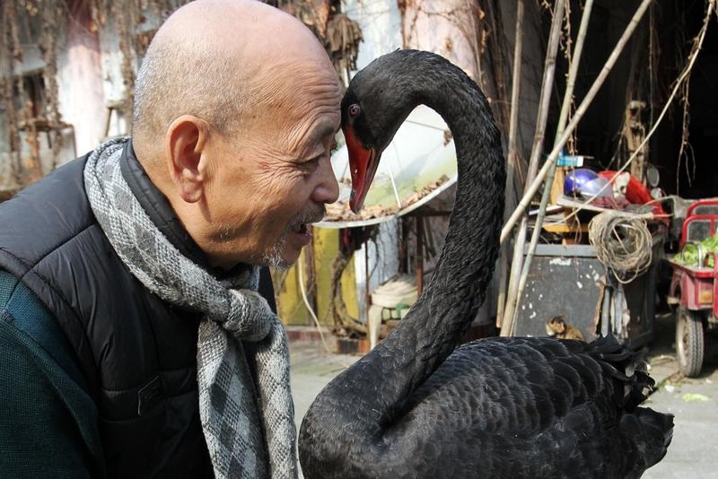 这个世界就像一场奇妙的戏剧，一边是像老王这样坚守传统农耕、为农产品销路发愁的老农